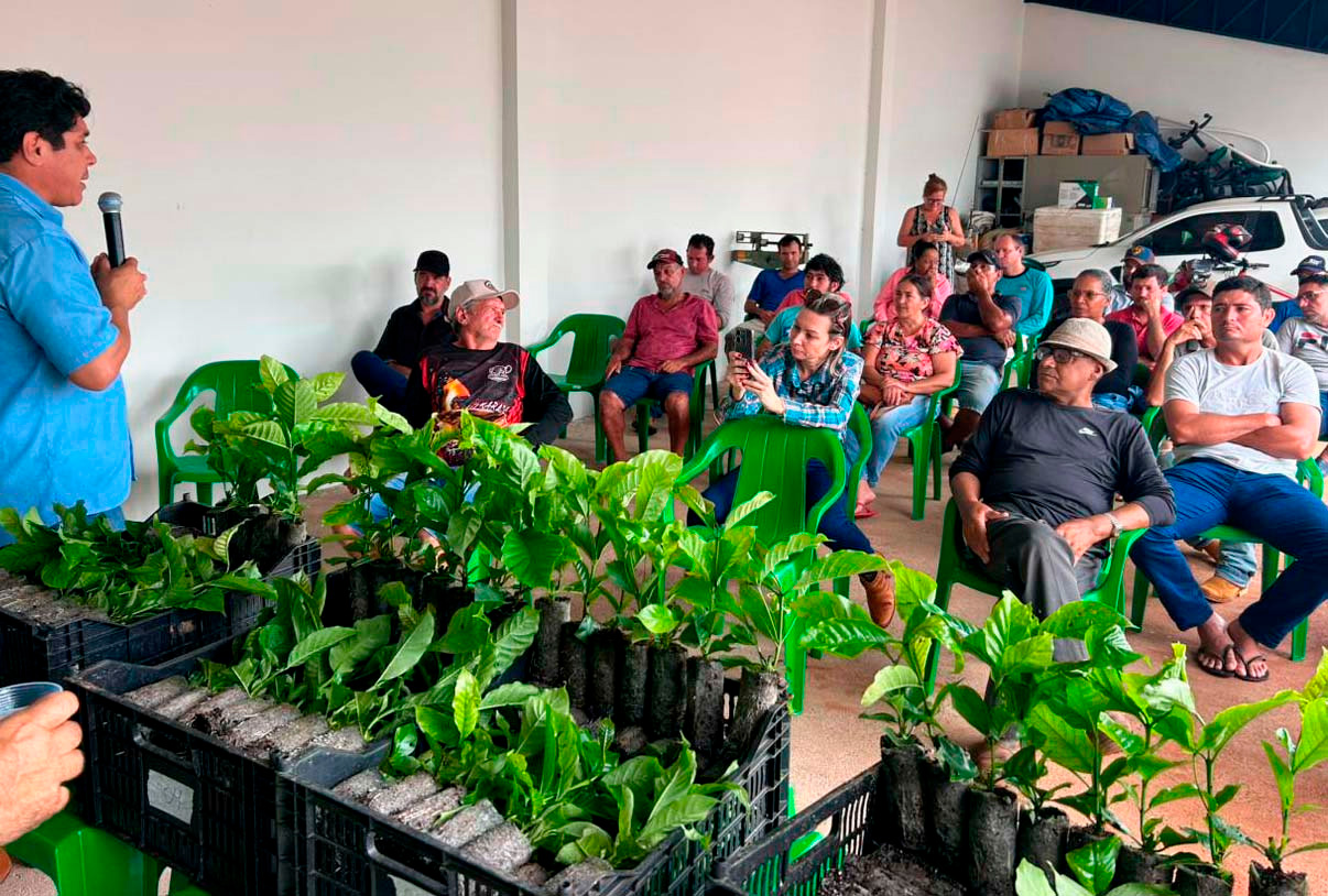 Expansão da área plantada de café é fortalecida pelo governo de RO com entrega de 115 mil mudas aos produtores do estado