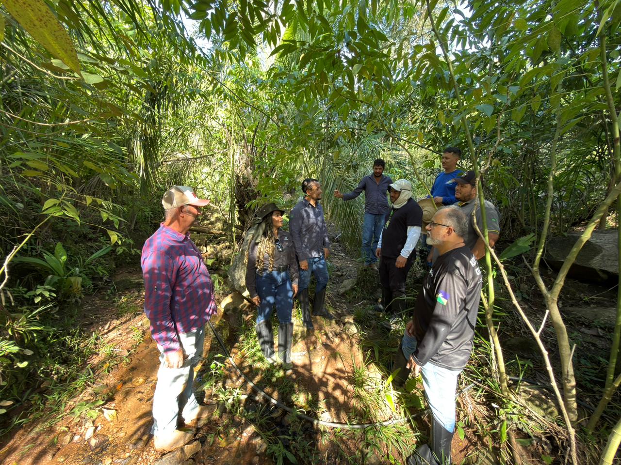 A programação incluiu acompanhamento das áreas em recuperação
