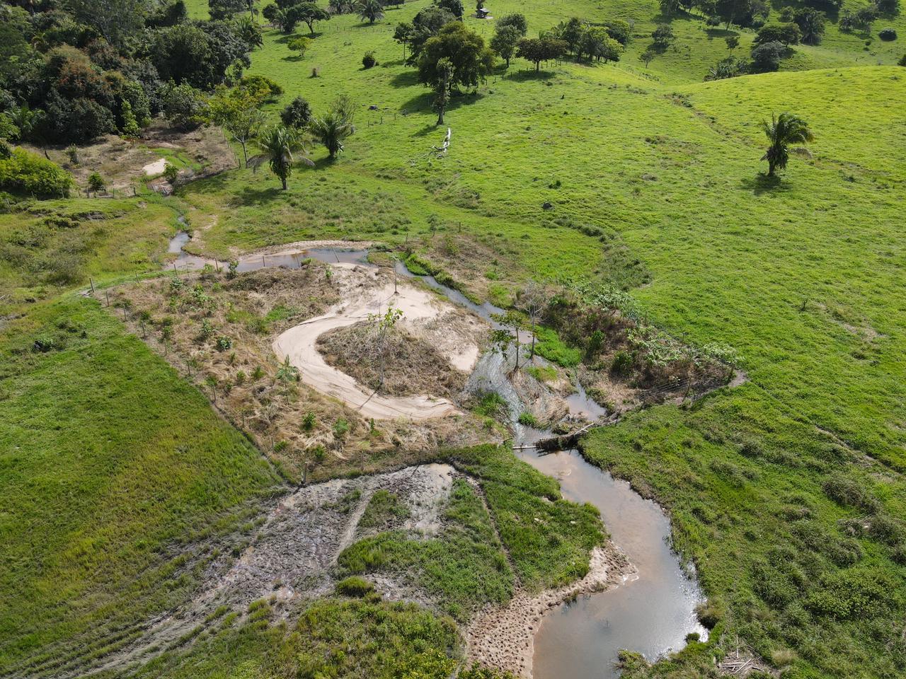 Ações de recuperação de nascentes são fortalecidas pelo governo de RO na microbacia do Rio Araras, em Cerejeiras