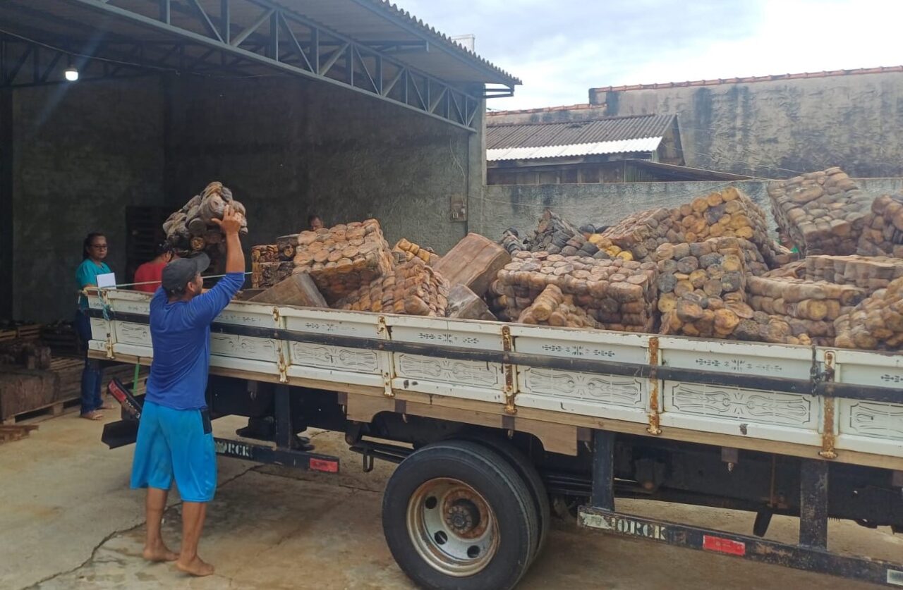 A iniciativa contribui para a geração de renda e o fortalecimento da economia local