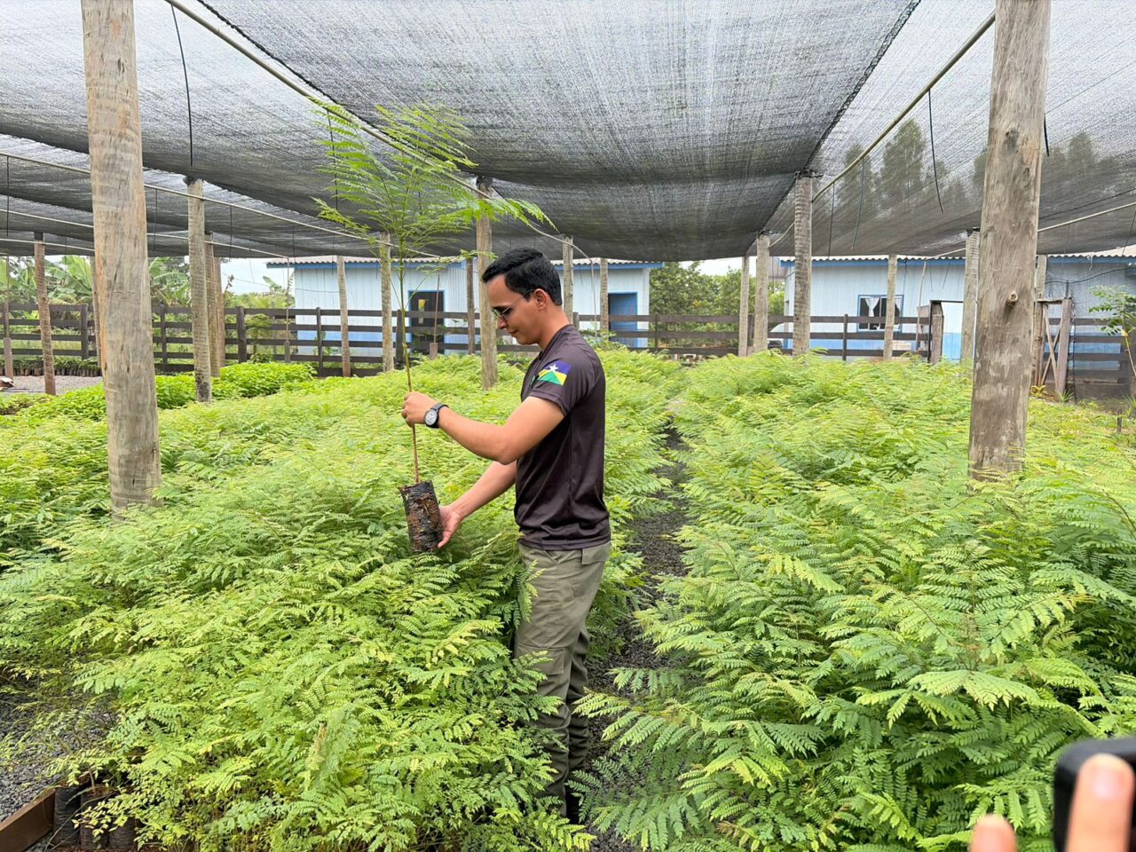 A ação busca promover a sustentabilidade ambiental no estado