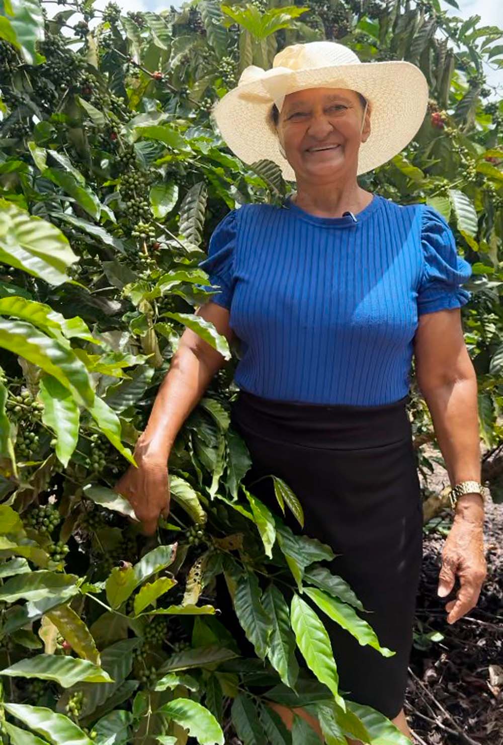 Cafeicultora Célia Aragão está satisfeita com a orientação recebida