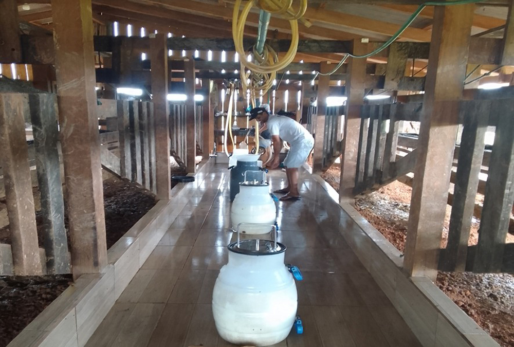 O uso de tecnologias acessíveis e o acompanhamento técnico são fundamentais para a eficiência produtiva