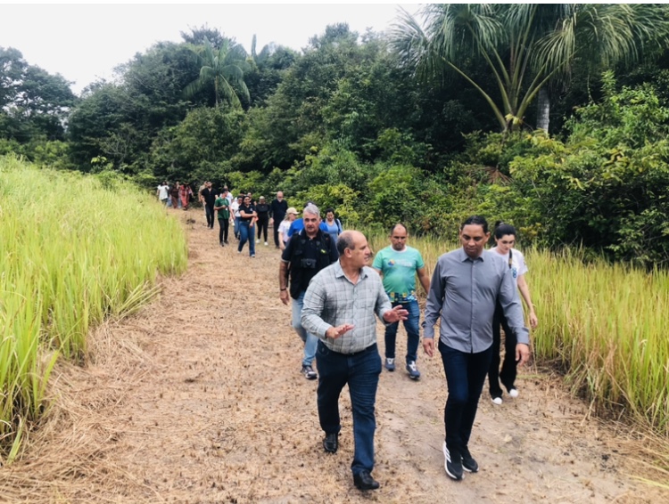 Acompanhar o grupo em trilhas faz parte das atribuições de um guia turístico