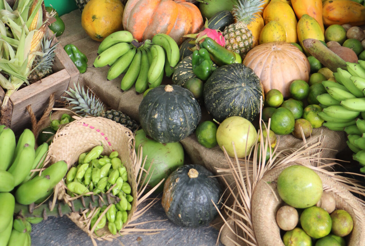 O programa representa acesso a alimentos nutritivos e melhoria na qualidade de vida