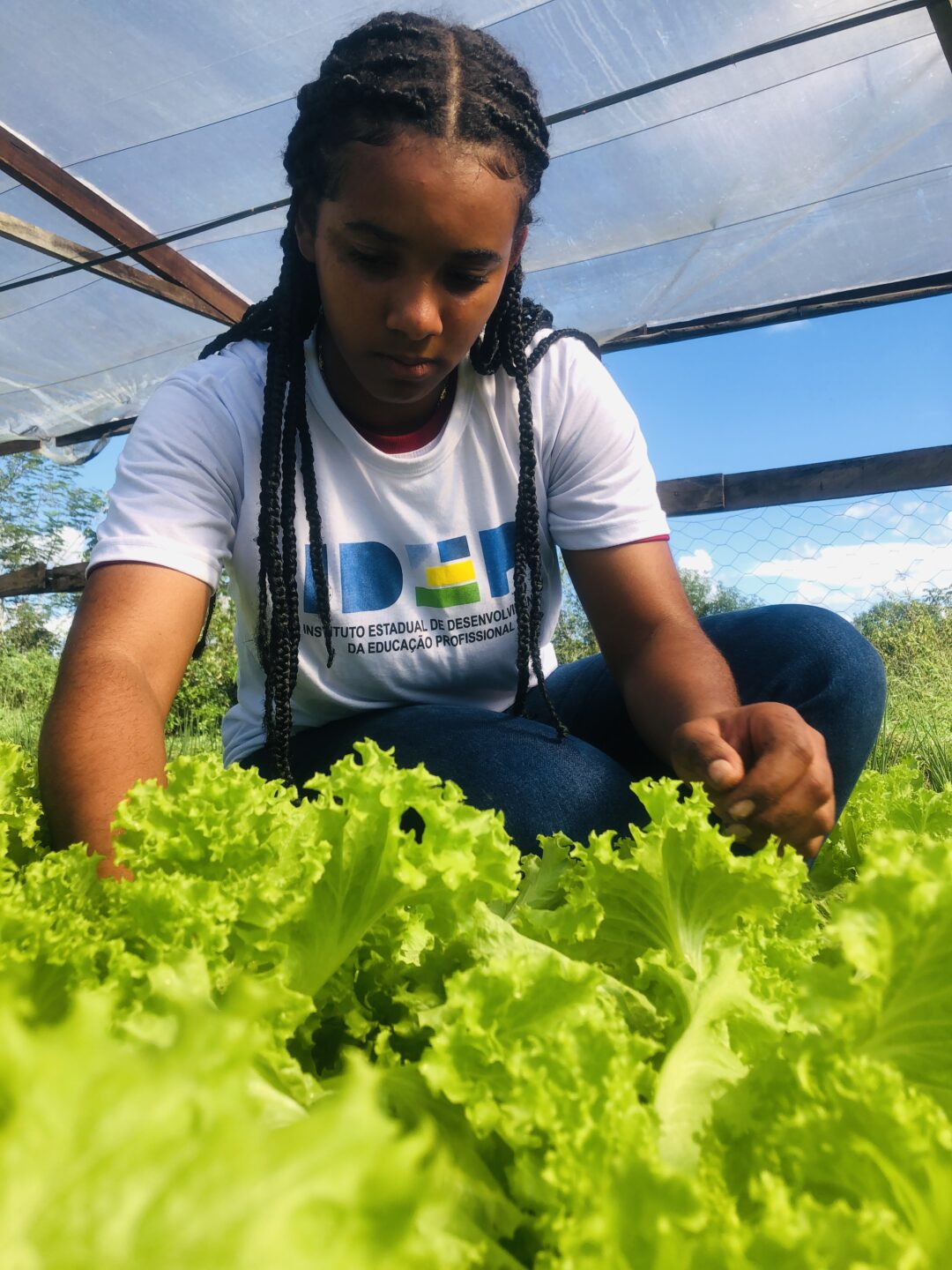 Estudante Jocilene Ferreira, quer aplicar o aprendizado na propriedade da família
