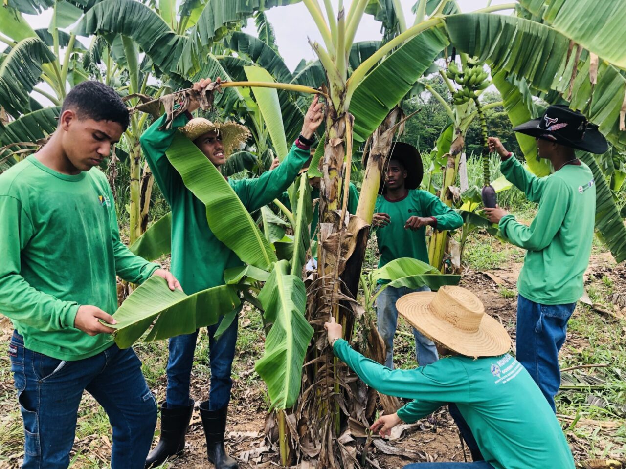 Educação profissional de Rondônia atrai estudantes de outros estados interessados em cursos técnicos voltados ao agronegócio