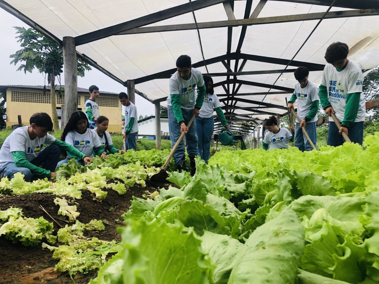 Formação técnica fortalece agricultura familiar e prepara jovens para atuar nas propriedades rurais em Rondônia
