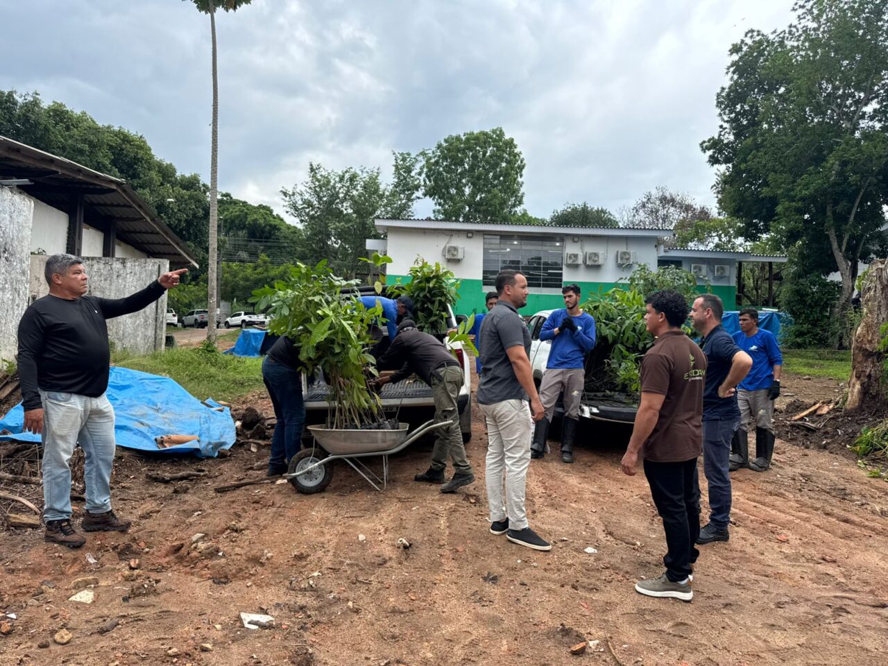 Viveiro de produção de mudas nativas fortalece recomposição florestal e impulsiona recuperação ambiental em Rondônia