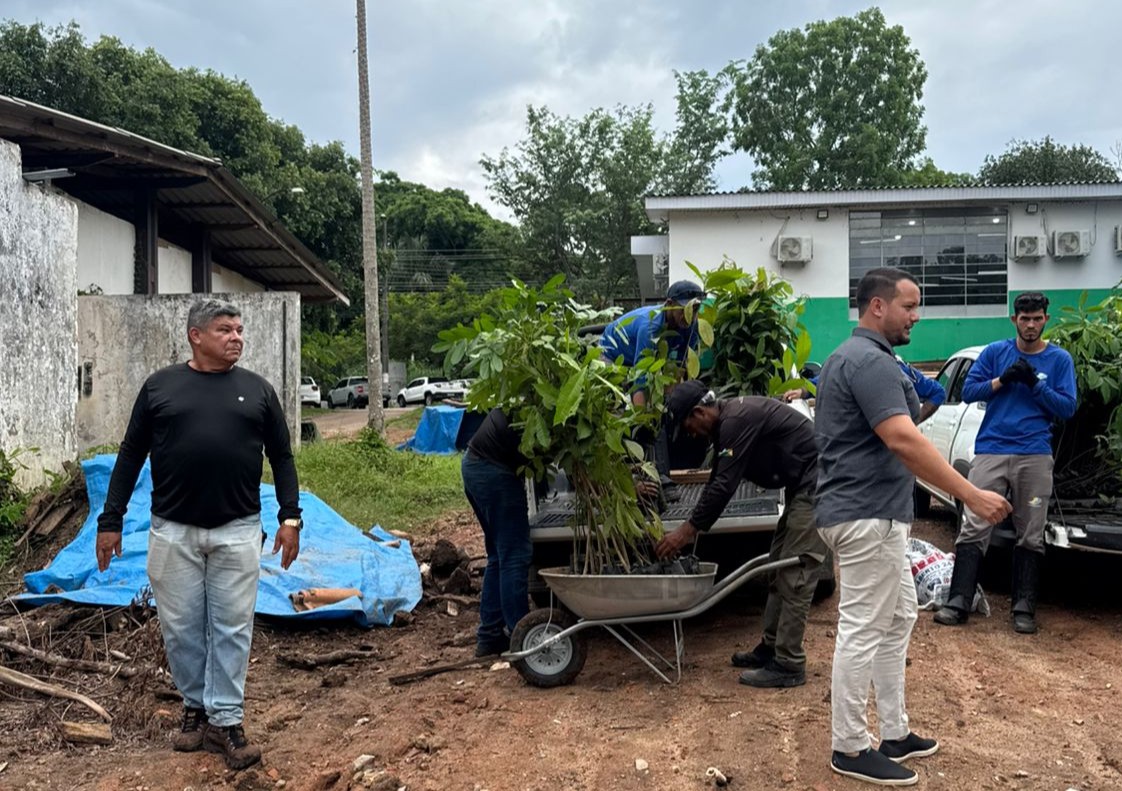 O espaço atua como uma estrutura estratégica para garantir o fornecimento de espécies