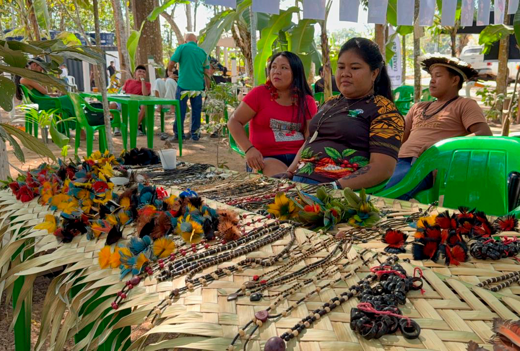 Fortalecimento das comunidades indígenas e para o desenvolvimento sustentável do estado