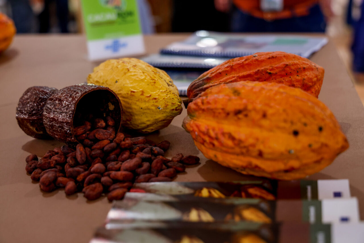 Cacau amazônico e palestra internacional marcam quarto dia do Pavilhão Empresarial na 13ª Rondônia Rural Show