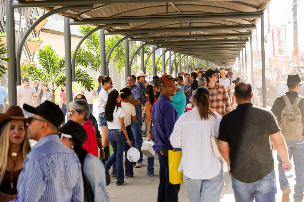 Público de visitantes expressivo a cada dia