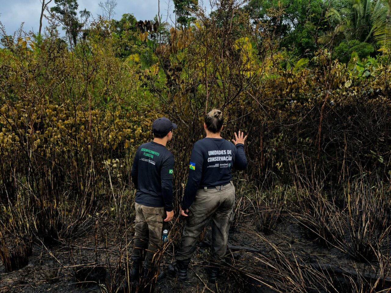 Durante a primeira fase da operação, já foram executados 85 hectares de queima prescrita