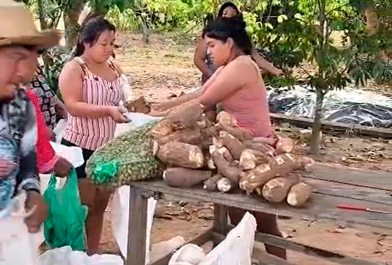 Iniciativa fortalece autonomia das comunidades e incentiva a preservação dos modos tradicionais de cultivo
